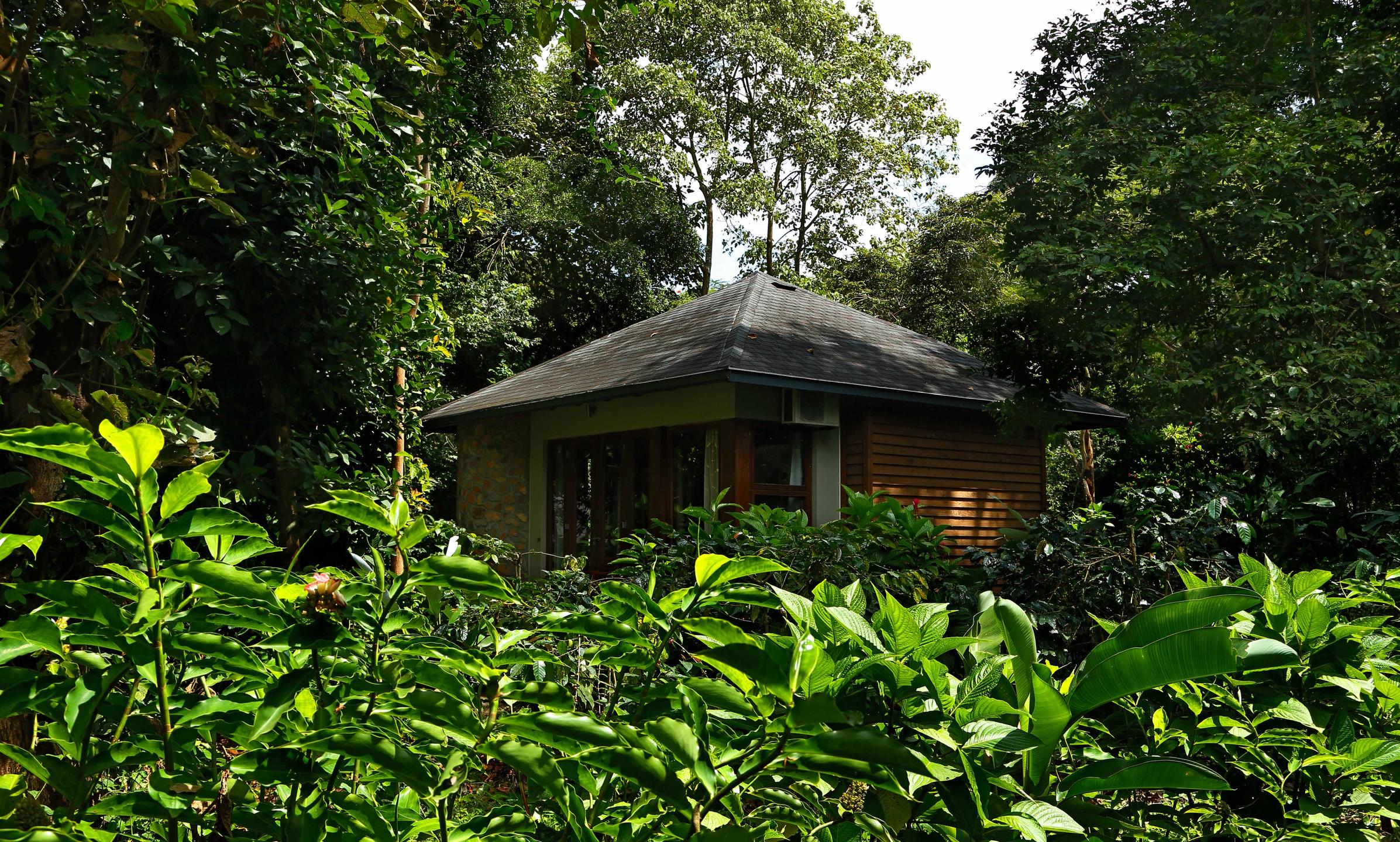 Lake Duluti Lodge