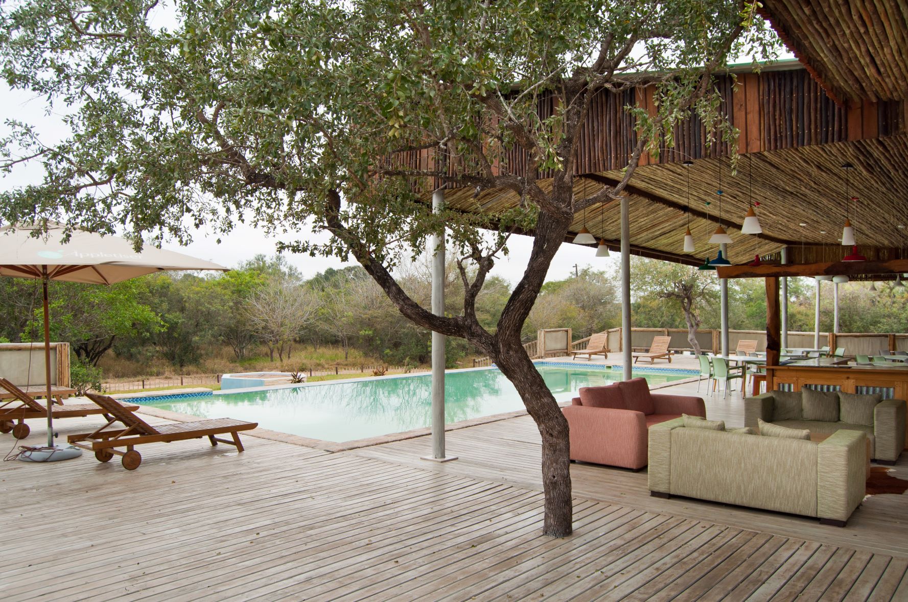 Kruger Safari Lodge 3