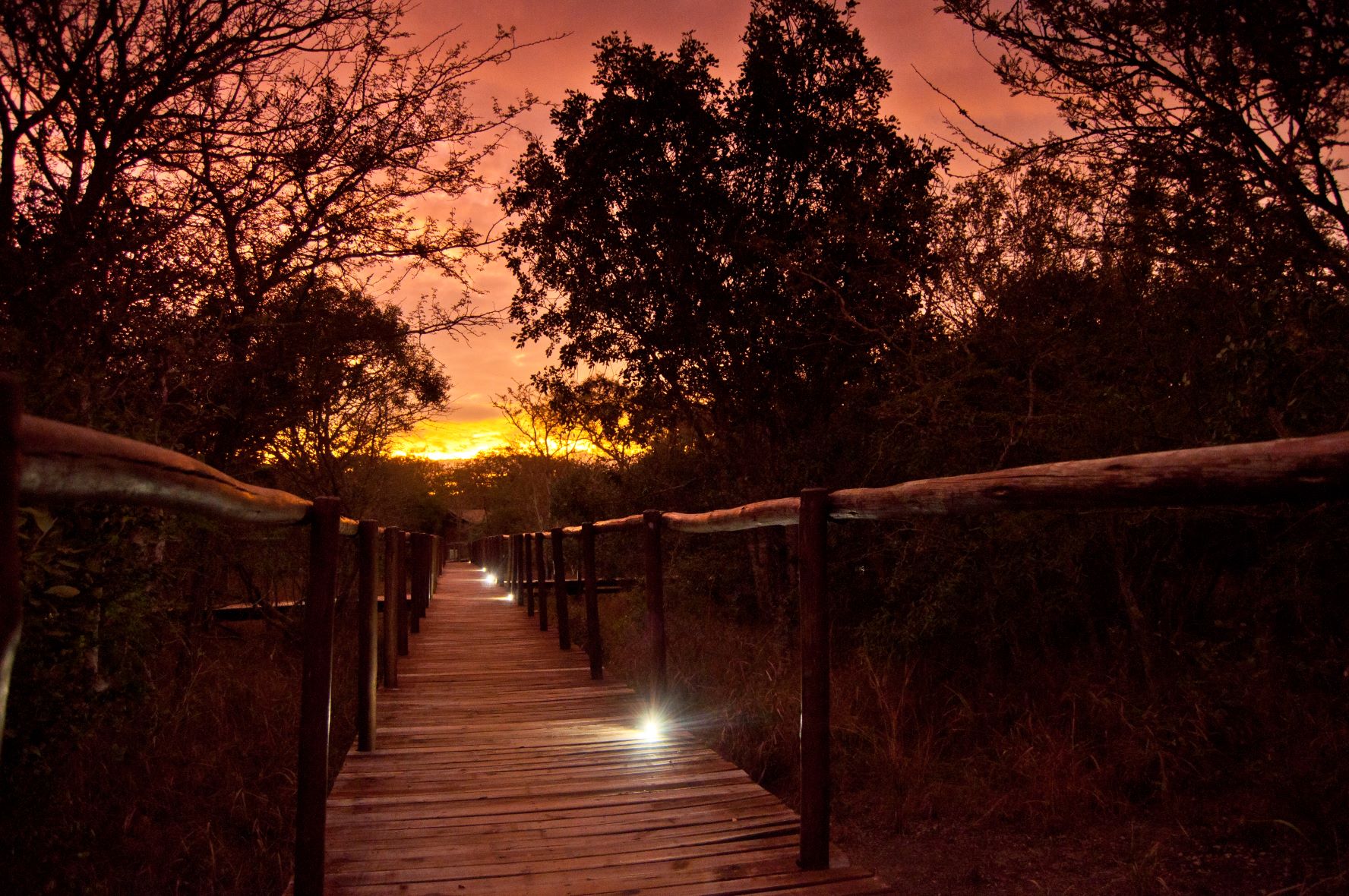 Kruger Safari Lodge 6
