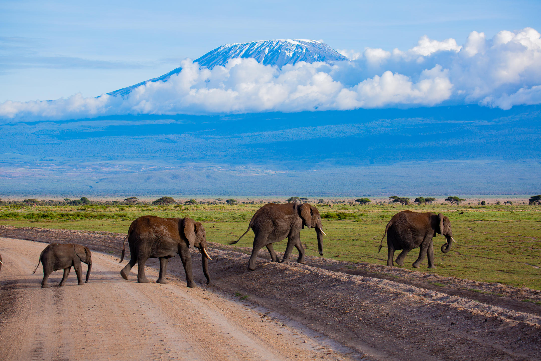 Amboseli Serena Lodge