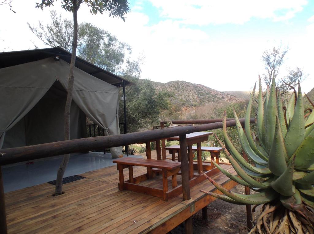 Old Mill Country Lodge 4