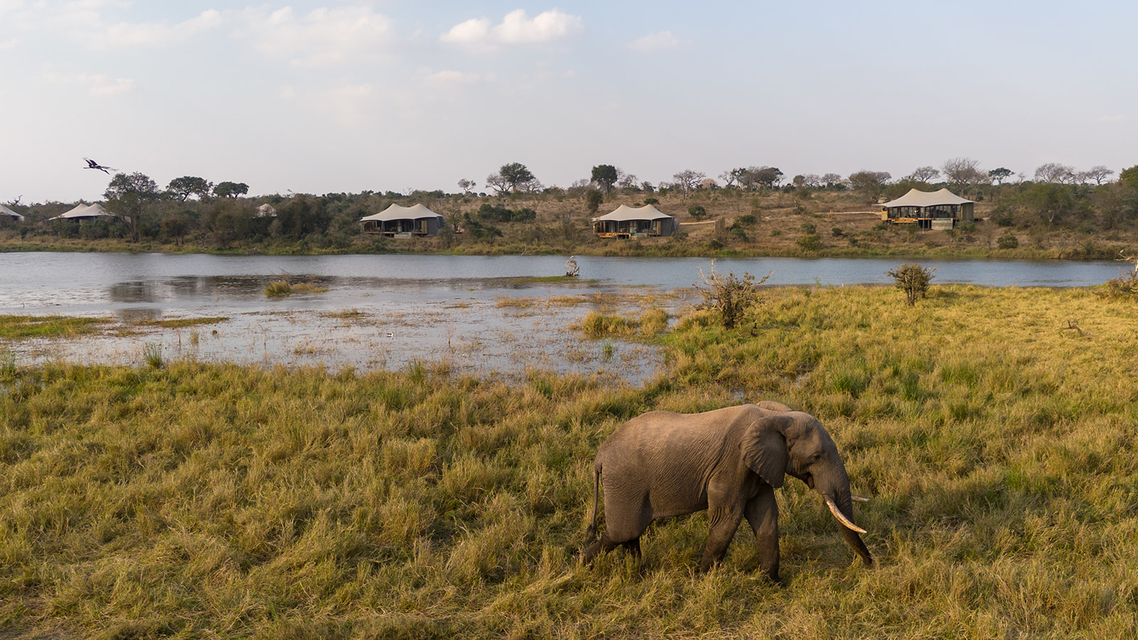 Sabi Sabi N'weti Camp 2