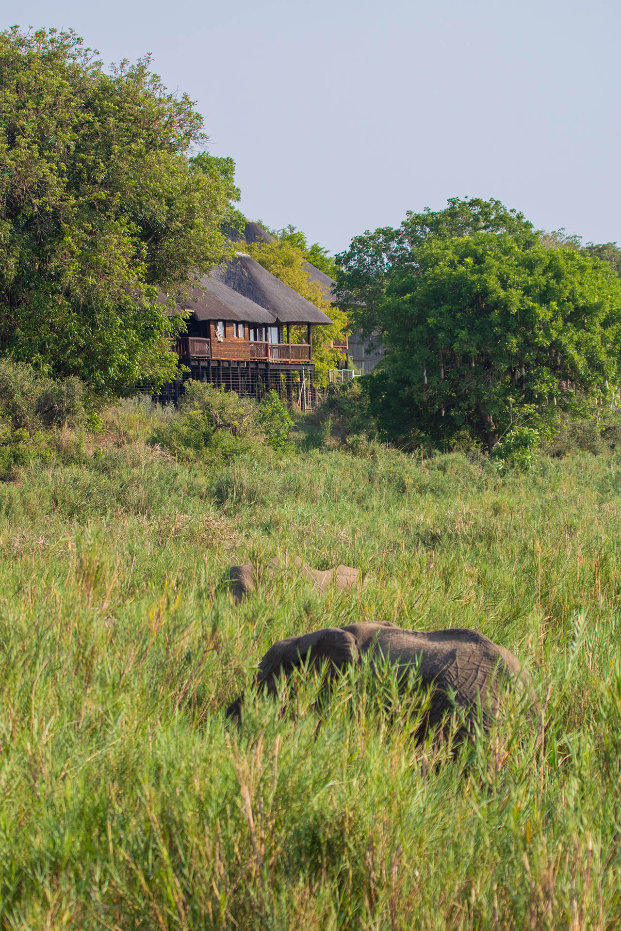 Elephant Walk Retreat 7