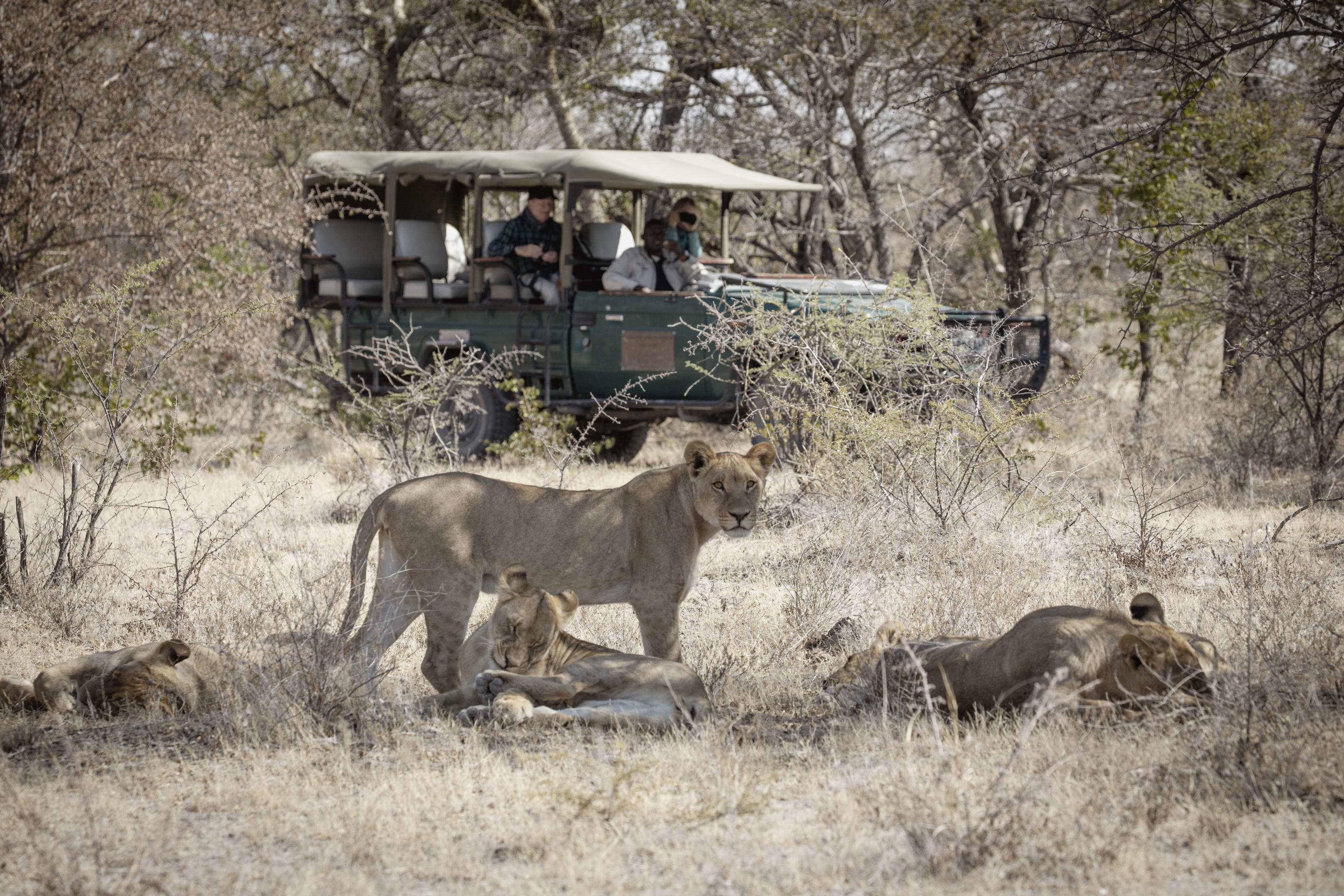 Camp Kalahari