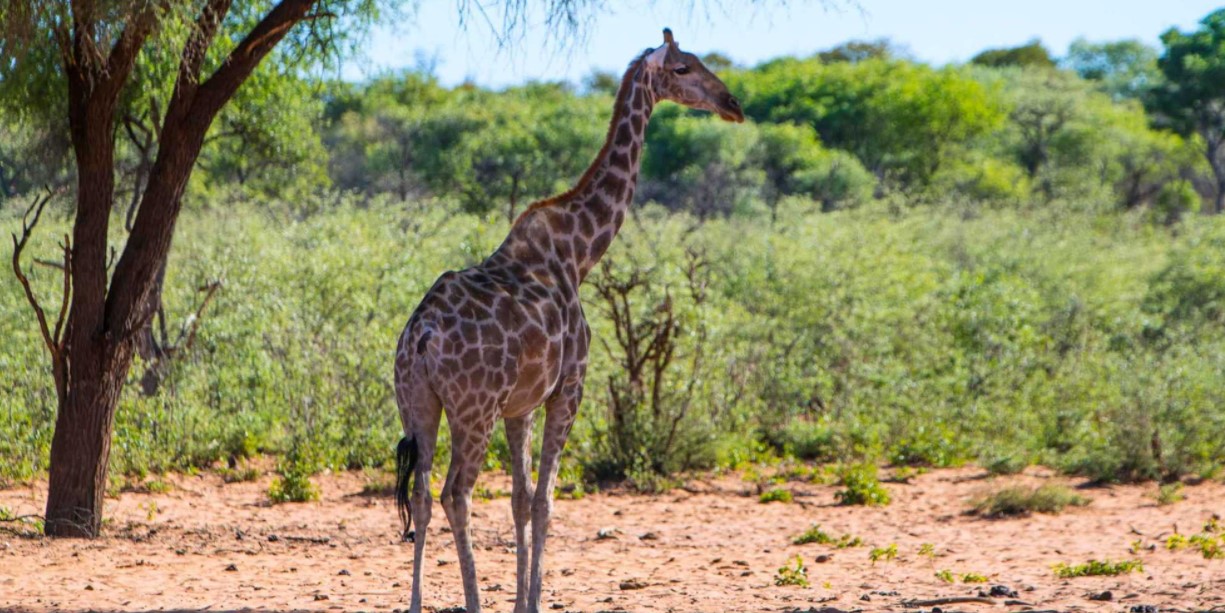 Waterberg Valley Lodge 4