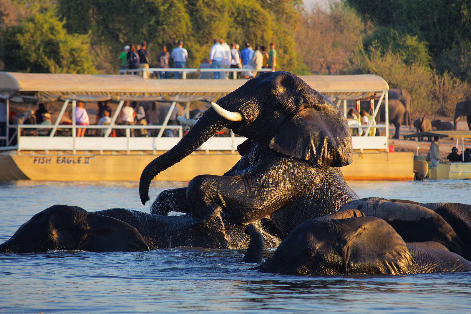 Chobe Safari Lodge