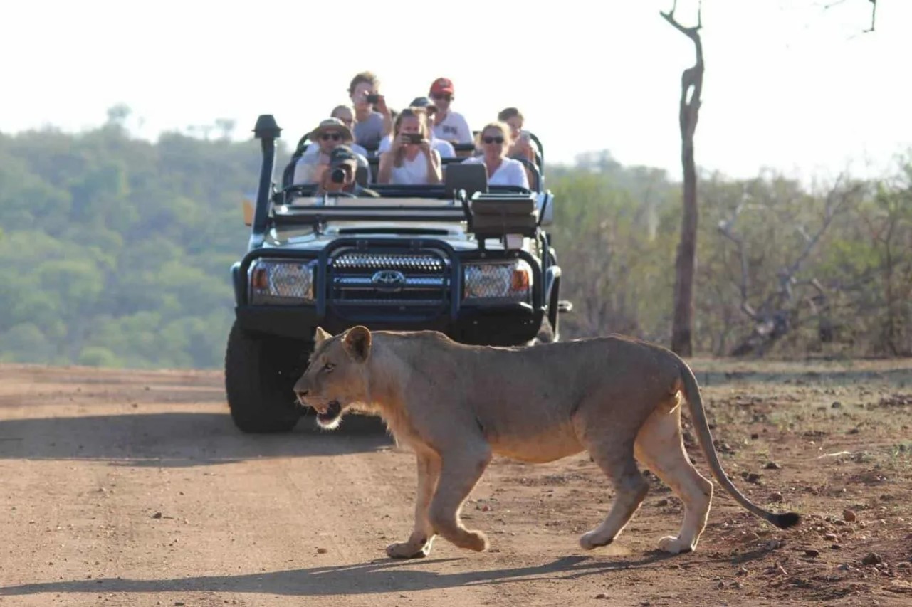 Milima Safari Lodge 5