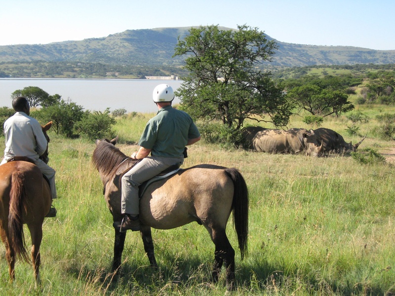 Spionkop Lodge 6