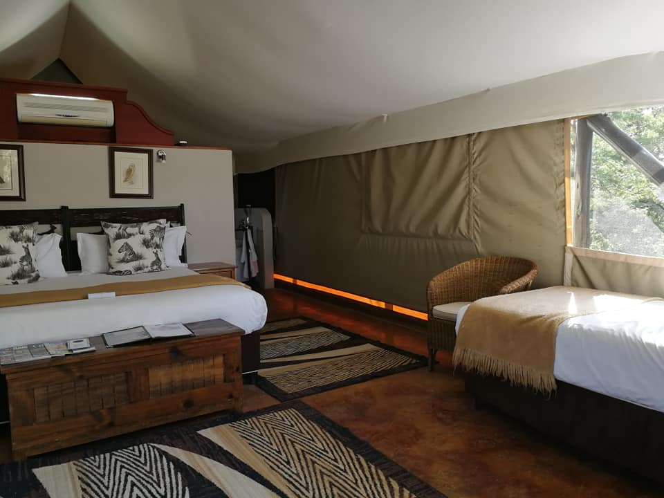 Springbok Lodge 5