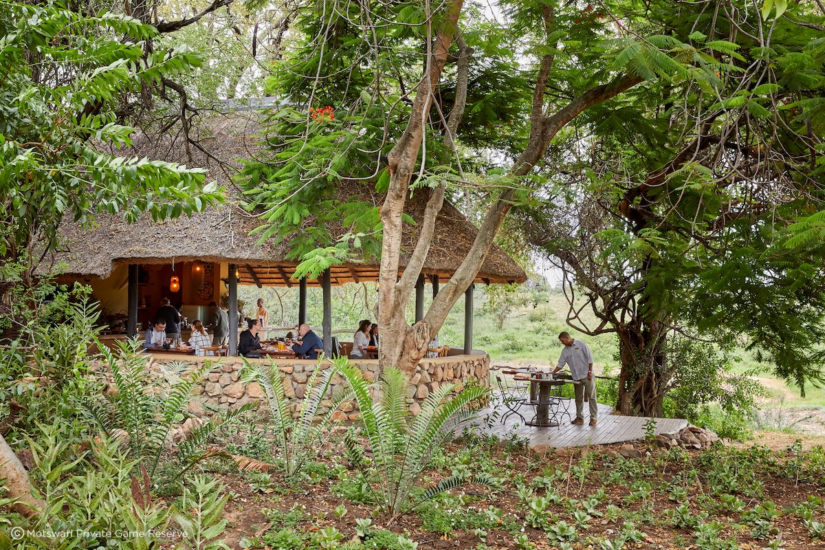 Motswari Private Game Reserve 6