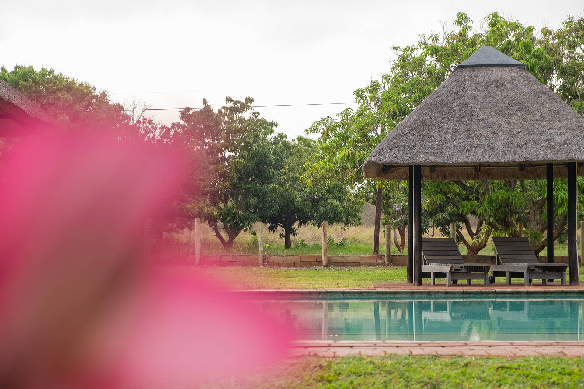 Elephant Walk Tented Camp 9