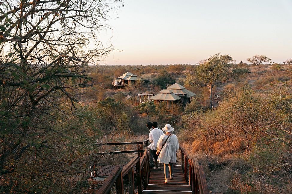 Simbavati Hilltop Lodge 5