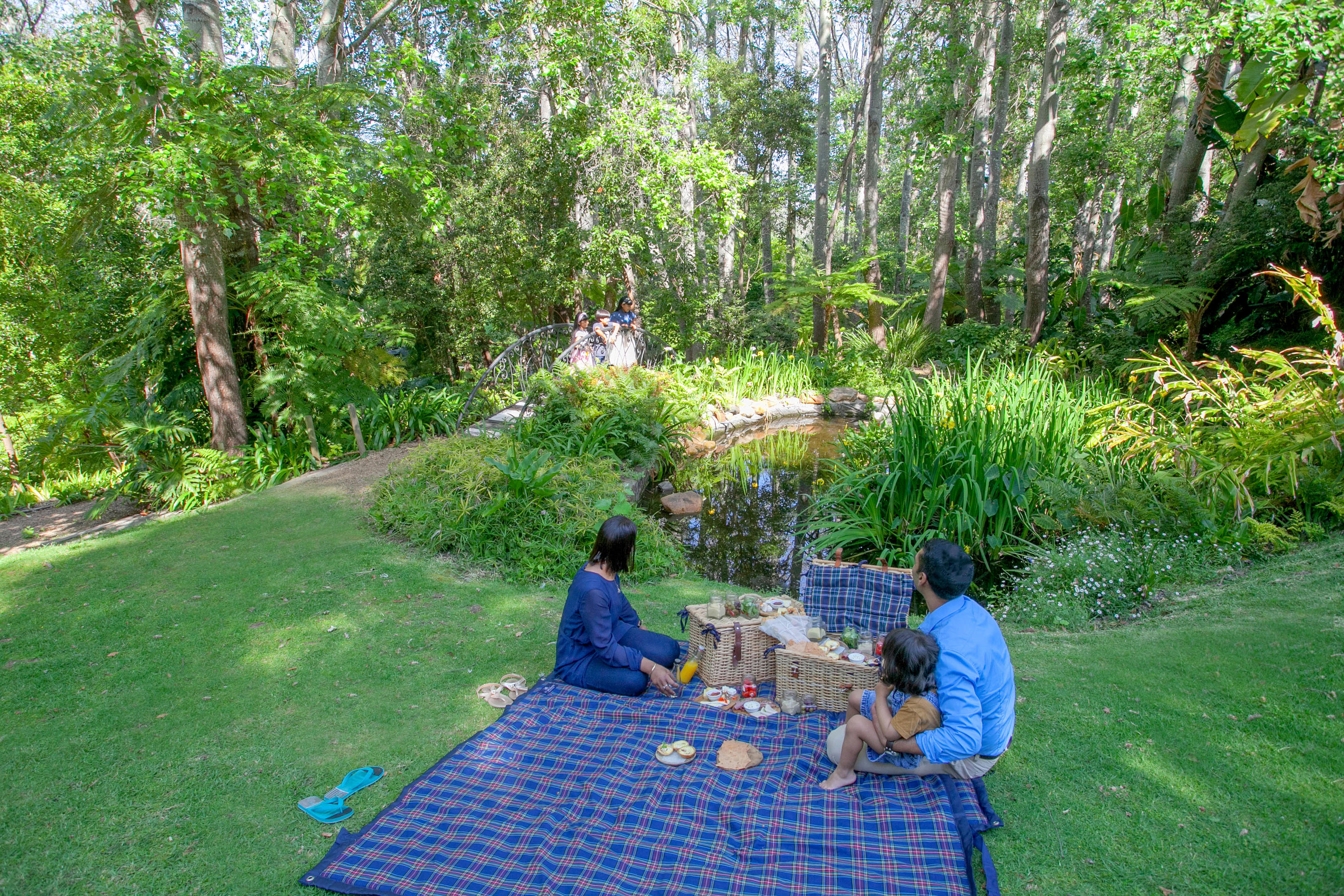 The Cellars Hohenort 6