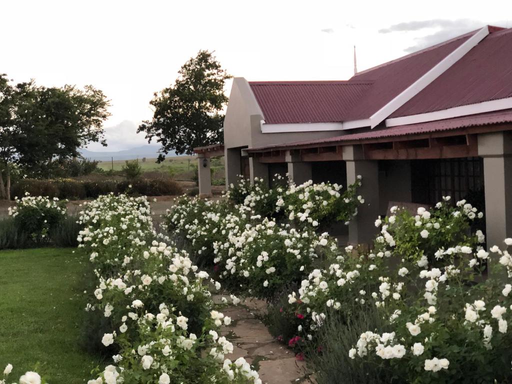 Mountain View Country Guest House 2