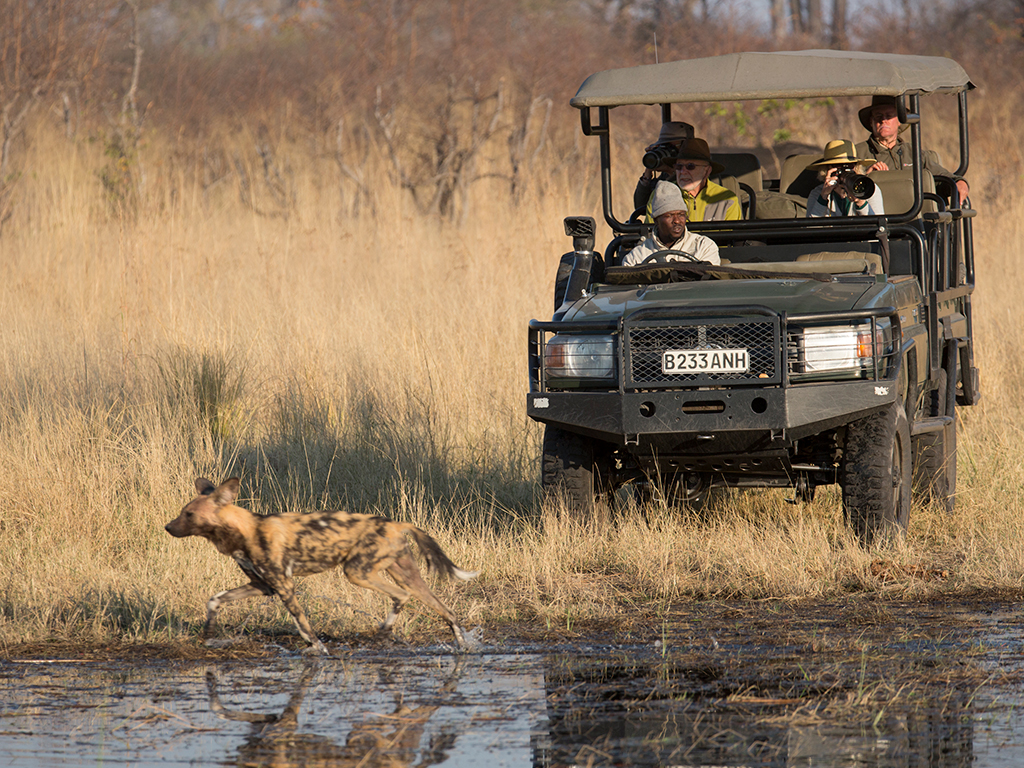 Selinda Explorers Camp