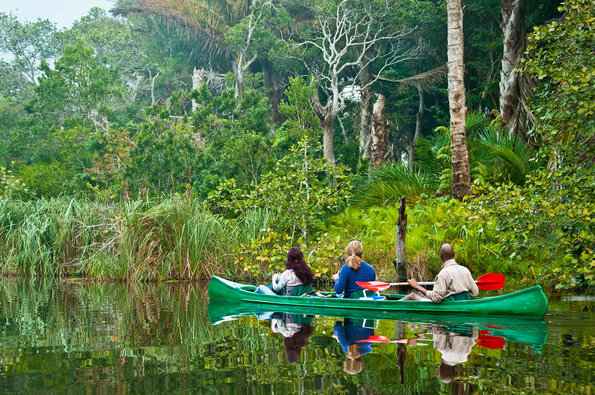 Kosi Forest Lodge 7