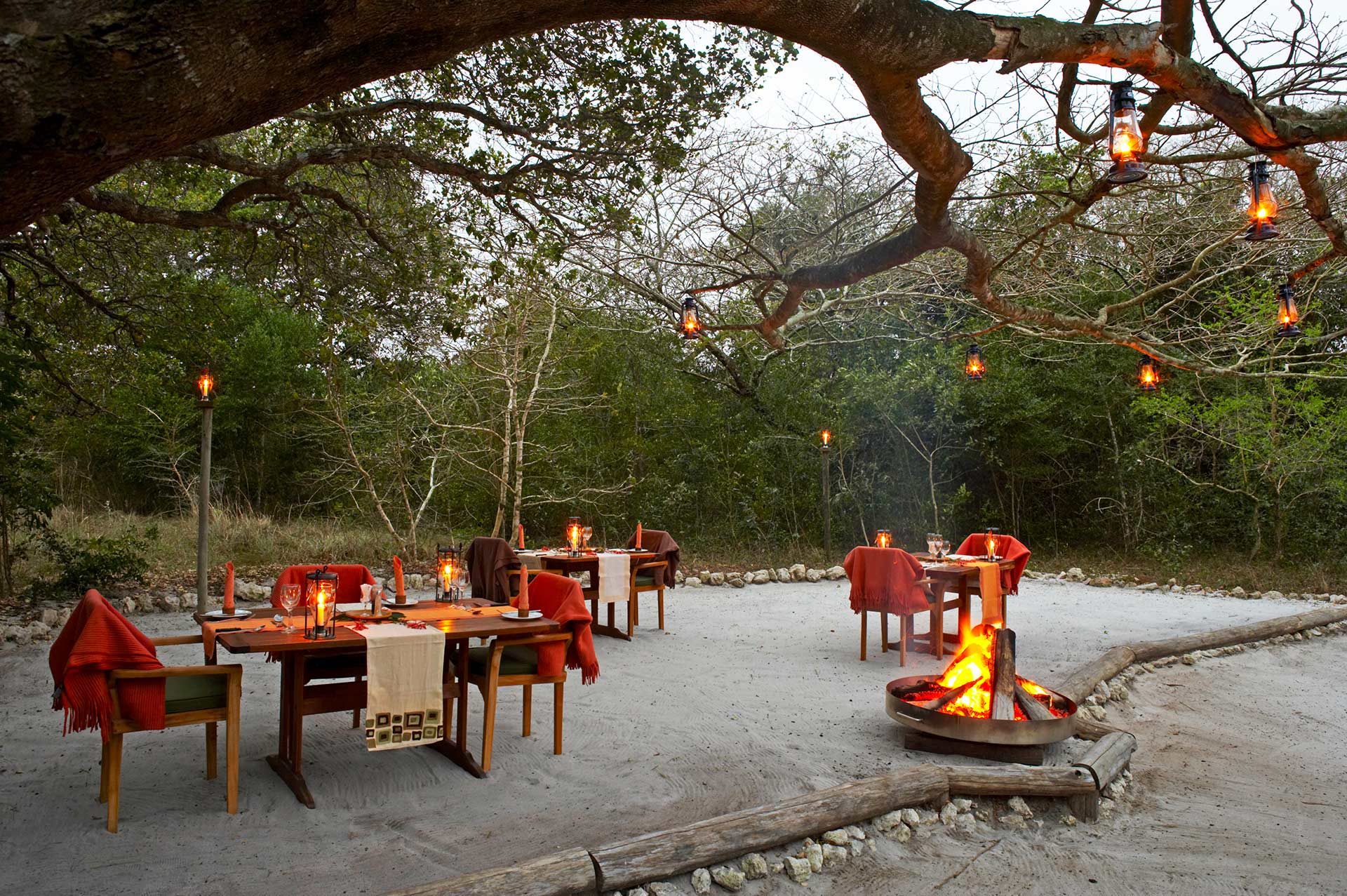 Kosi Forest Lodge 5