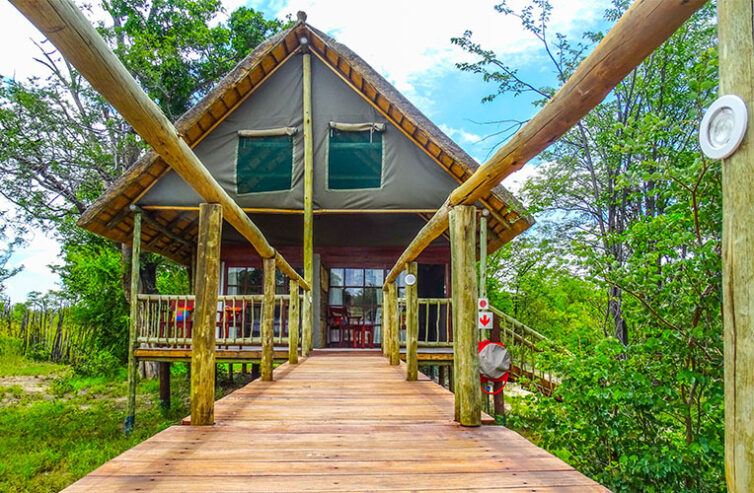 Chobe Mopani Forest Lodge