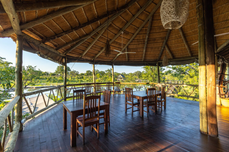 Chobe Mopani Forest Lodge