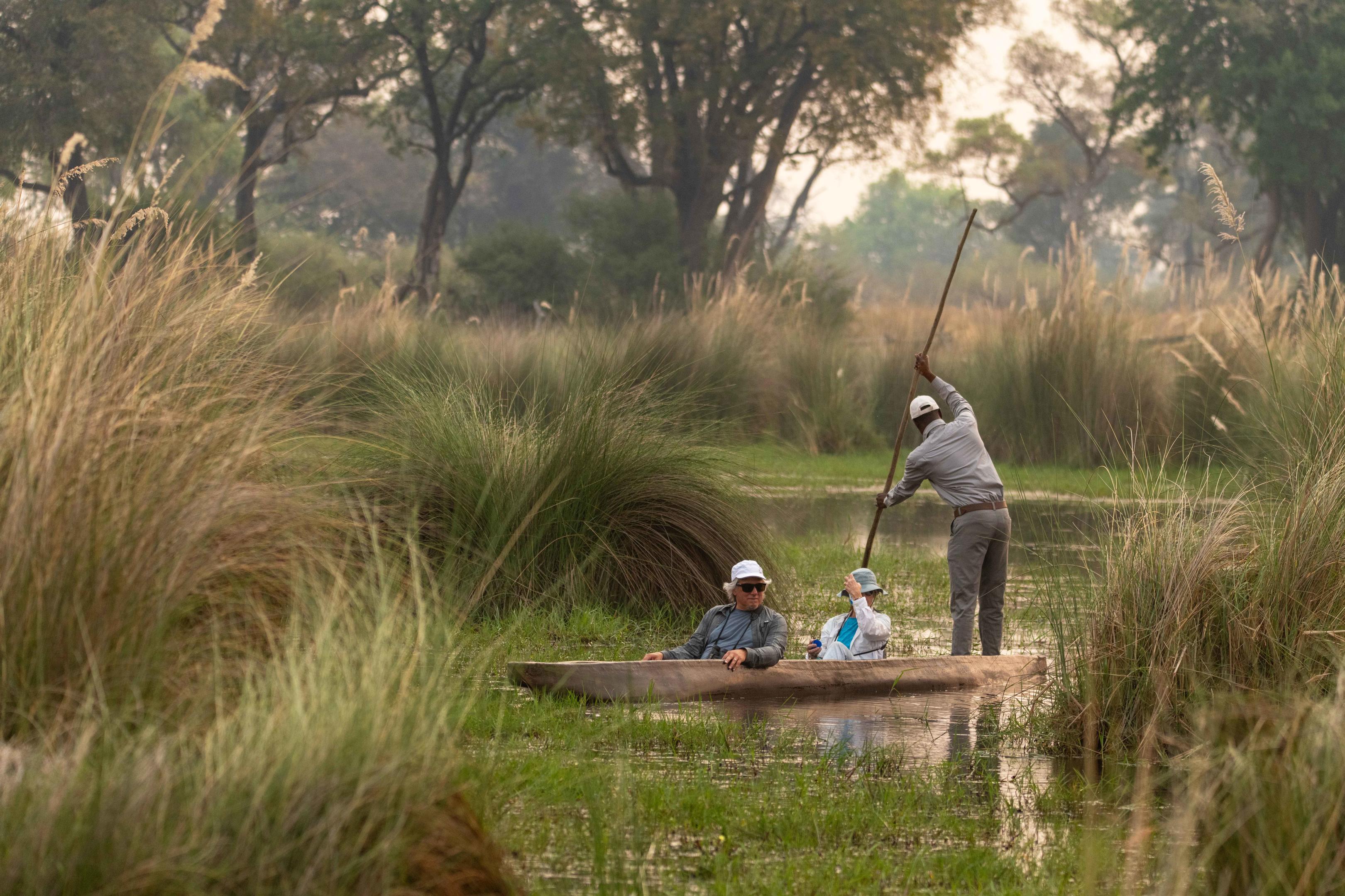 North Island Okavango