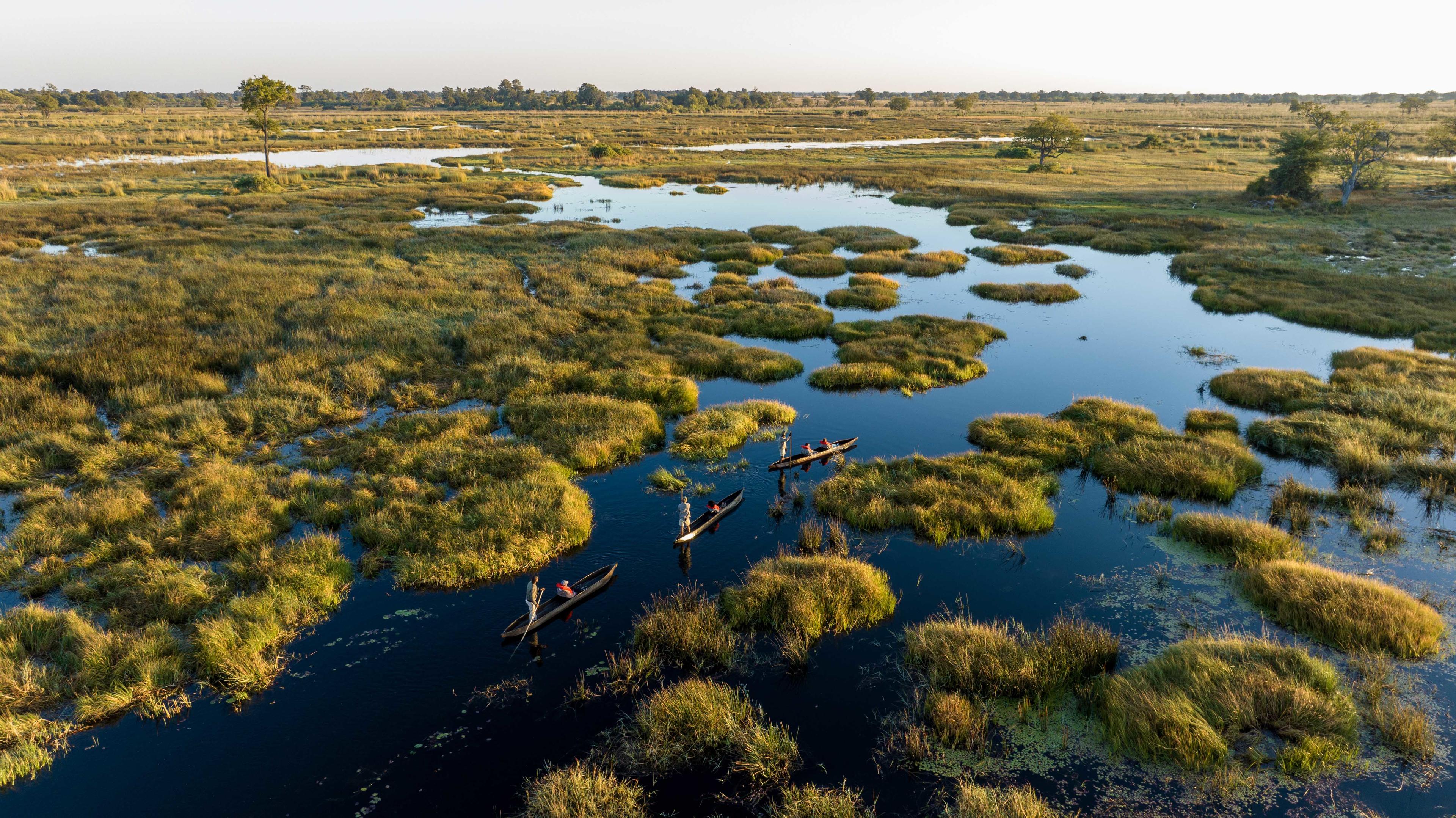 North Island Okavango