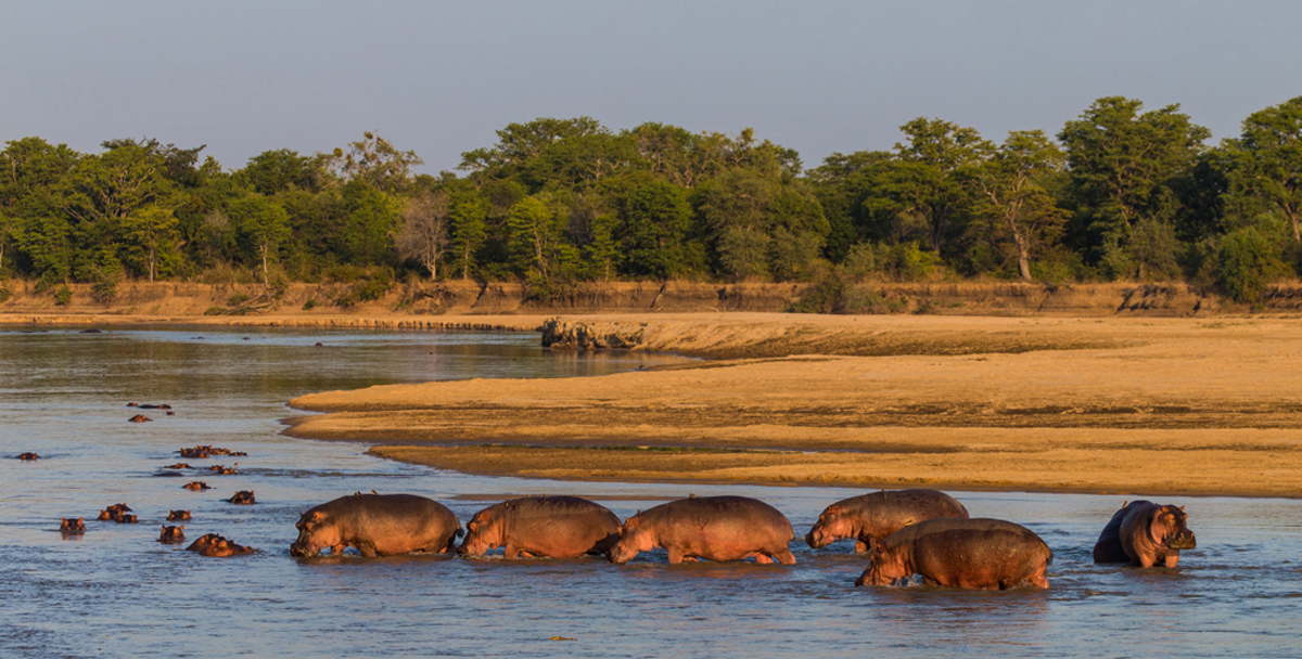 Luambe Camp & Conservation