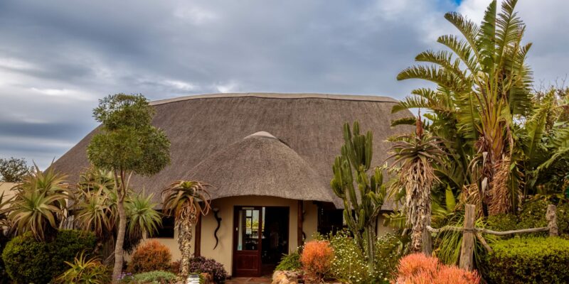 Bellevue Forest Reserve - Elephant's Lodge 3