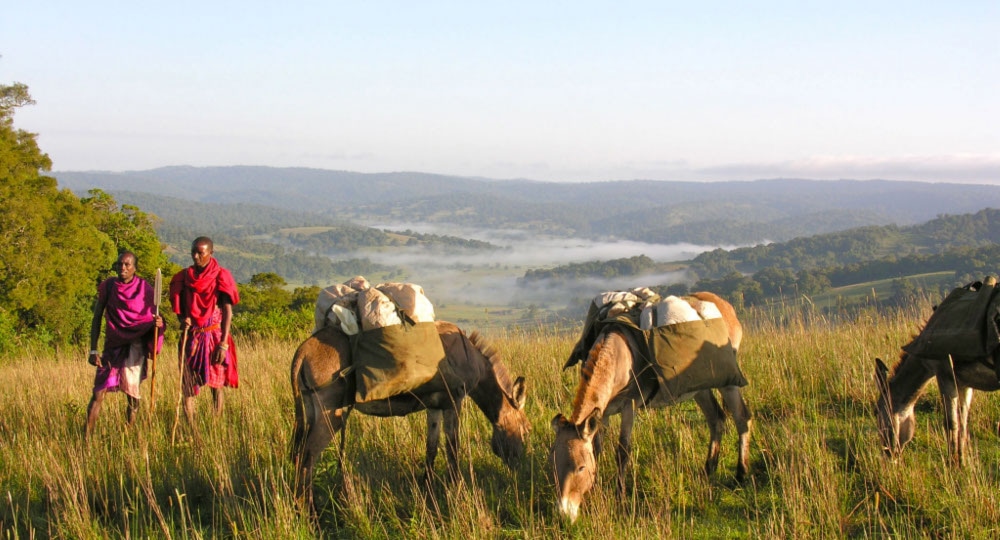 Maasai Trails