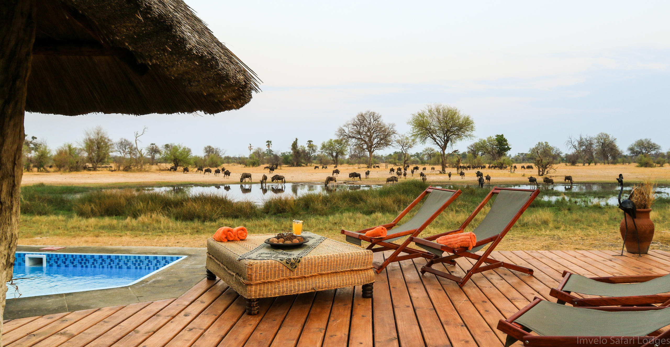 Bomani Tented Lodge
