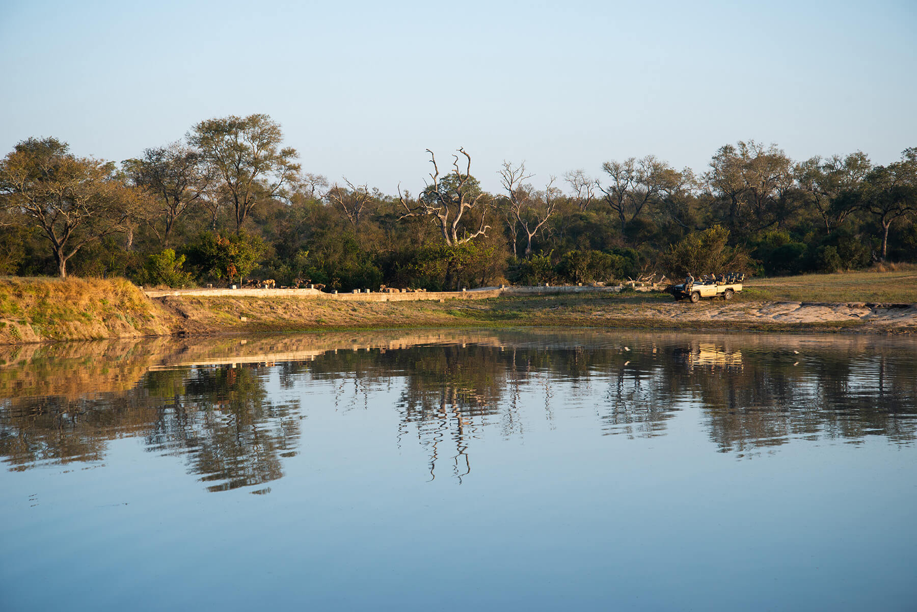 Arathusa Safari Lodge 6