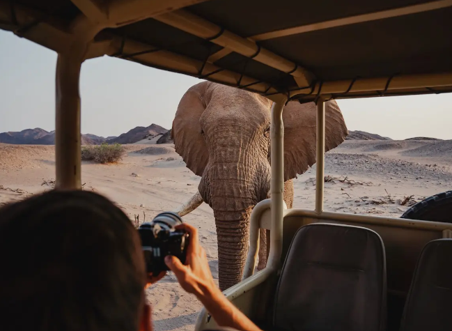 Hoanib Elephant Camp 2
