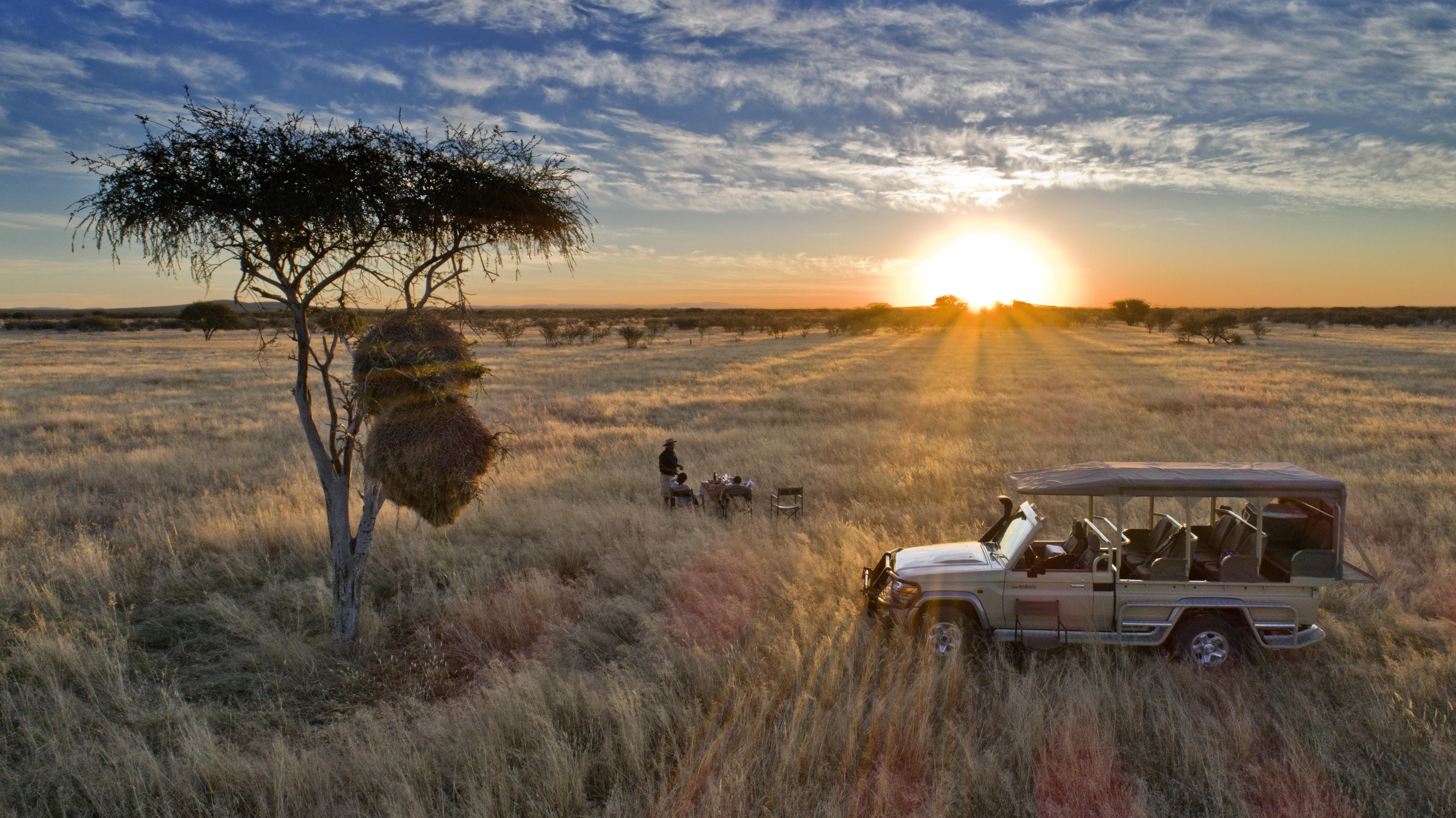 Safari House 8
