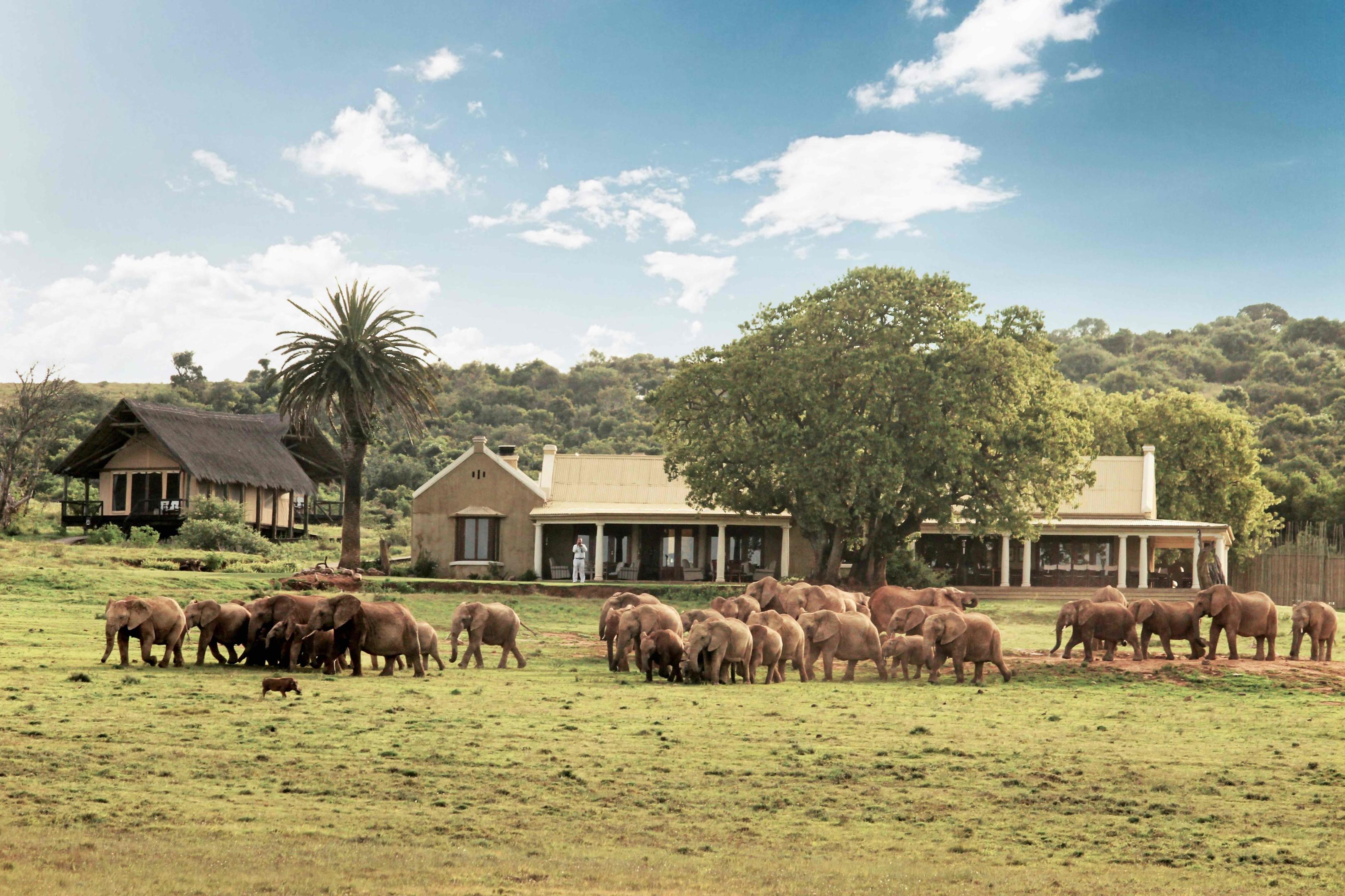 Gorah Elephant Camp 3