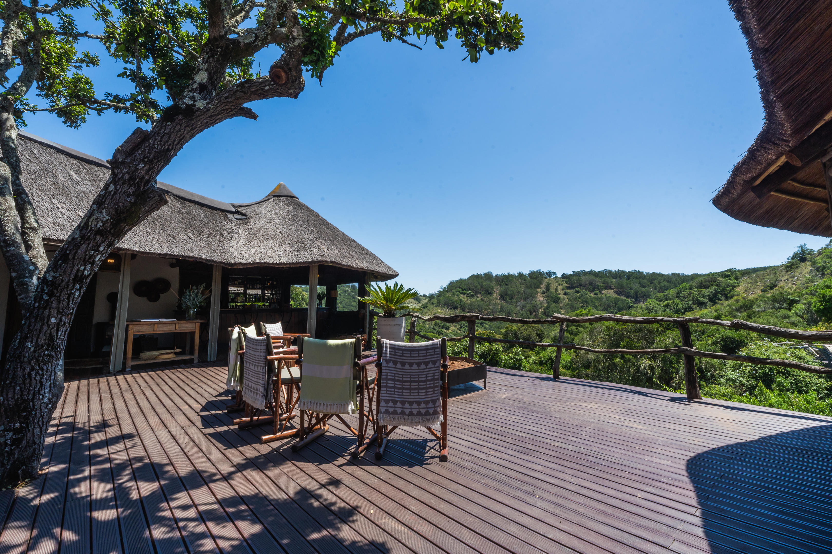 Lalibela Tree Tops