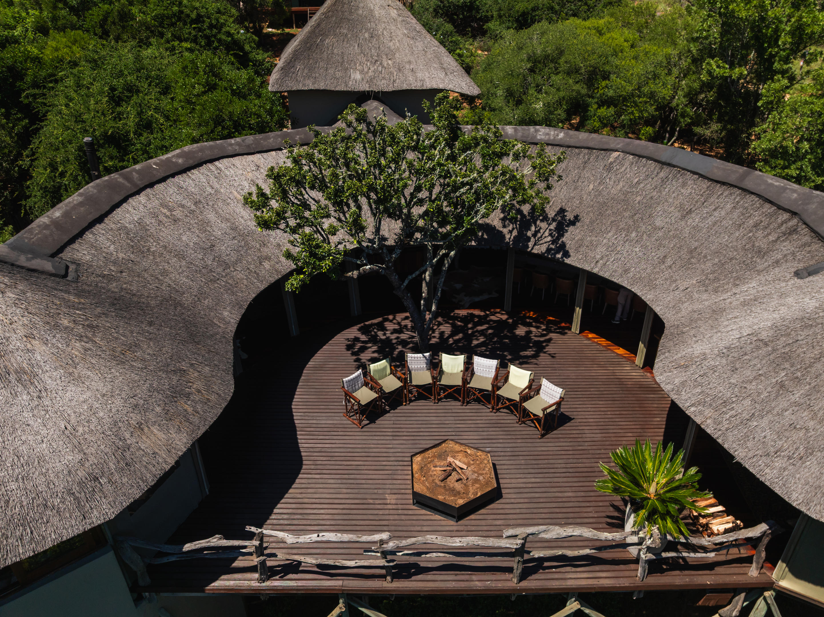 Lalibela Tree Tops 6
