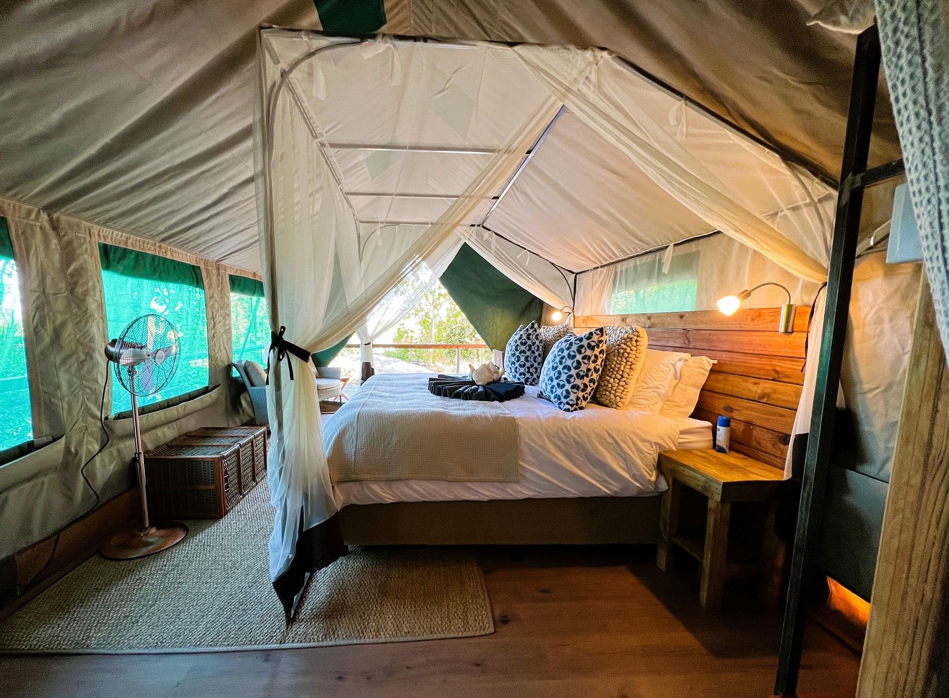 Kala Camp 8
