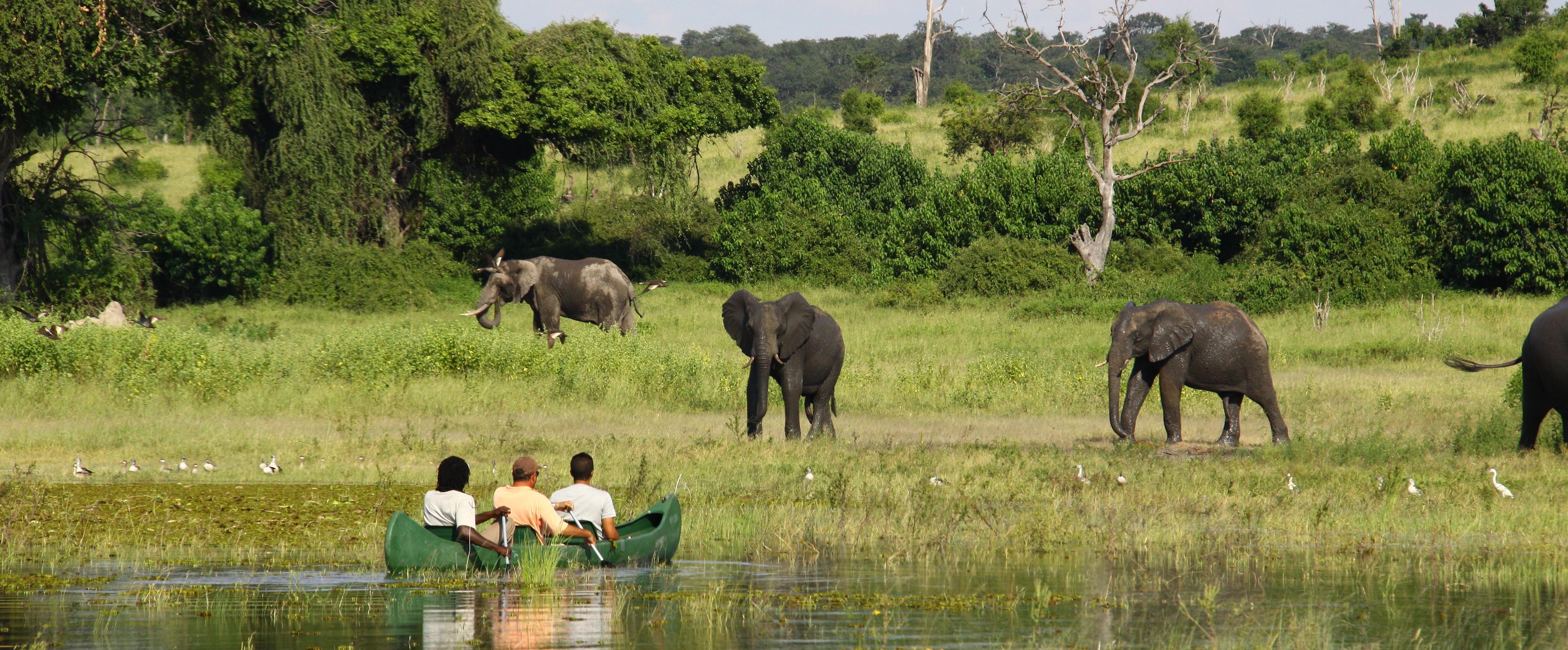 Chobe River Camp 4