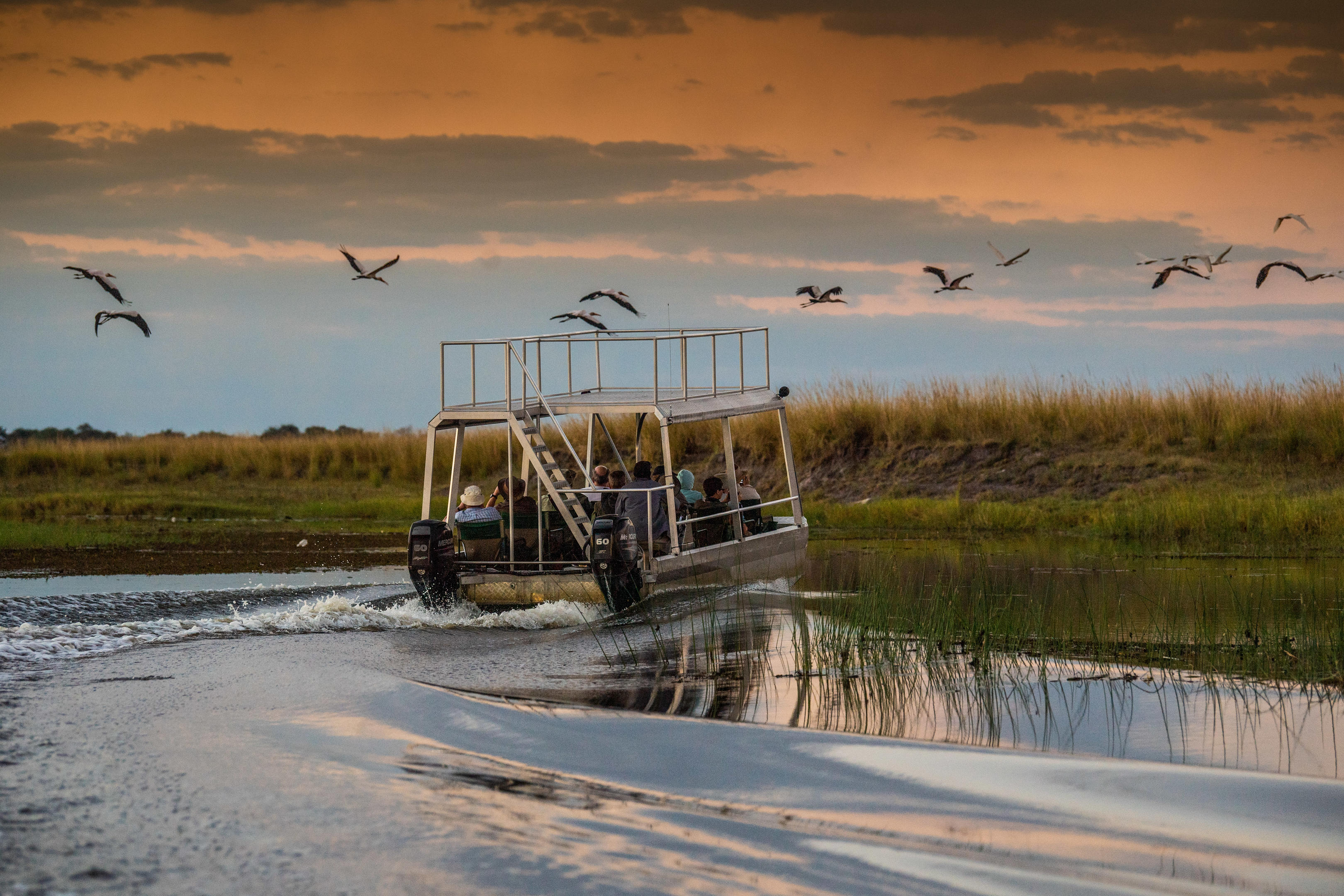 Chobe River Camp 5