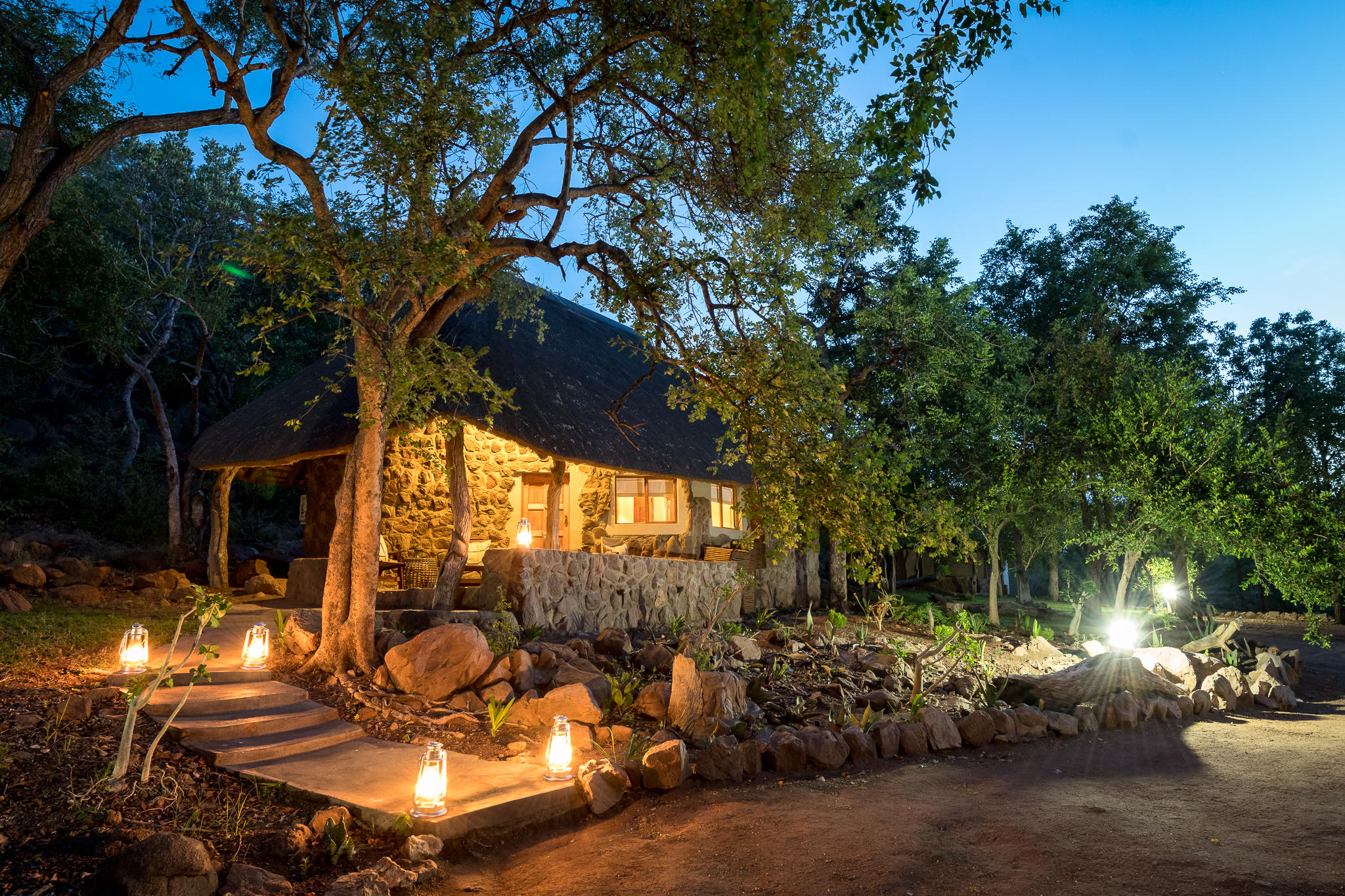 Chacma Bush Camp 8