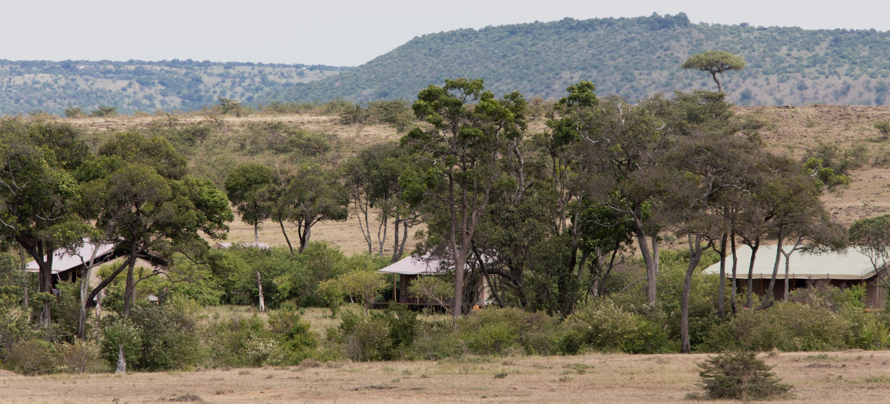 Enkusero Mara