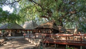 Tuli Safari Lodge Mashatu 7