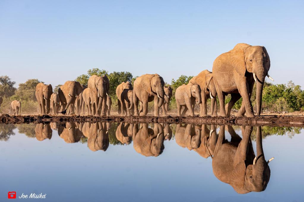 Tuli Safari Lodge Mashatu