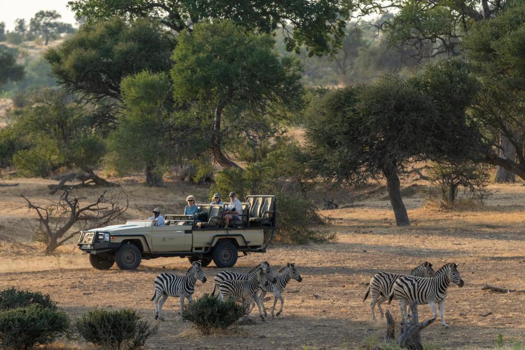 Tuli Safari Lodge Mashatu
