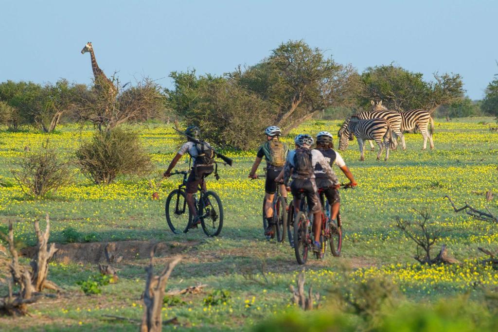 Tuli Safari Lodge Mashatu