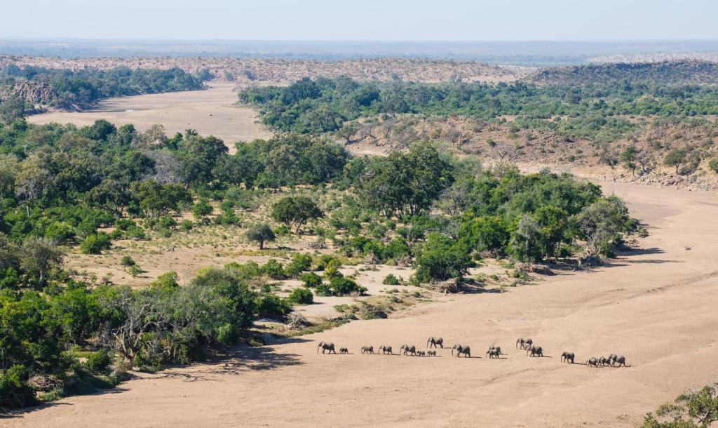 Tuli Safari Lodge Mashatu