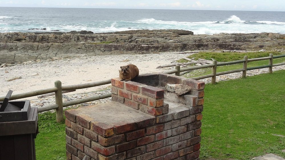 Storms River Mouth Rest Camp 4