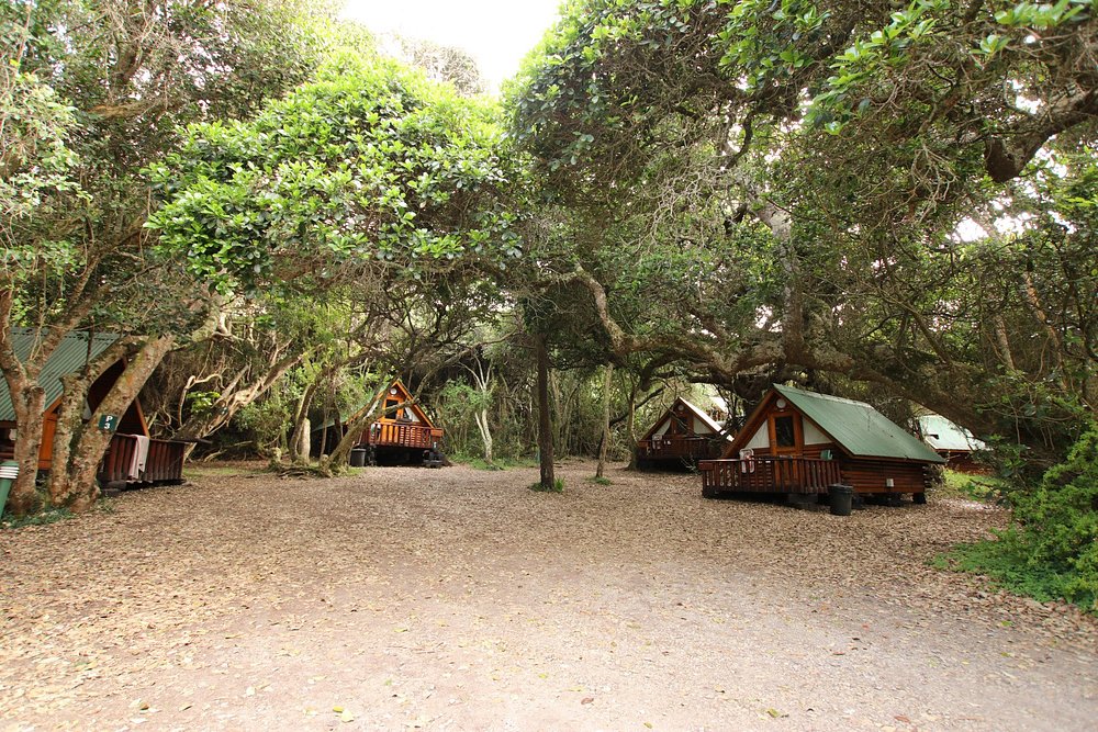 Storms River Mouth Rest Camp 7