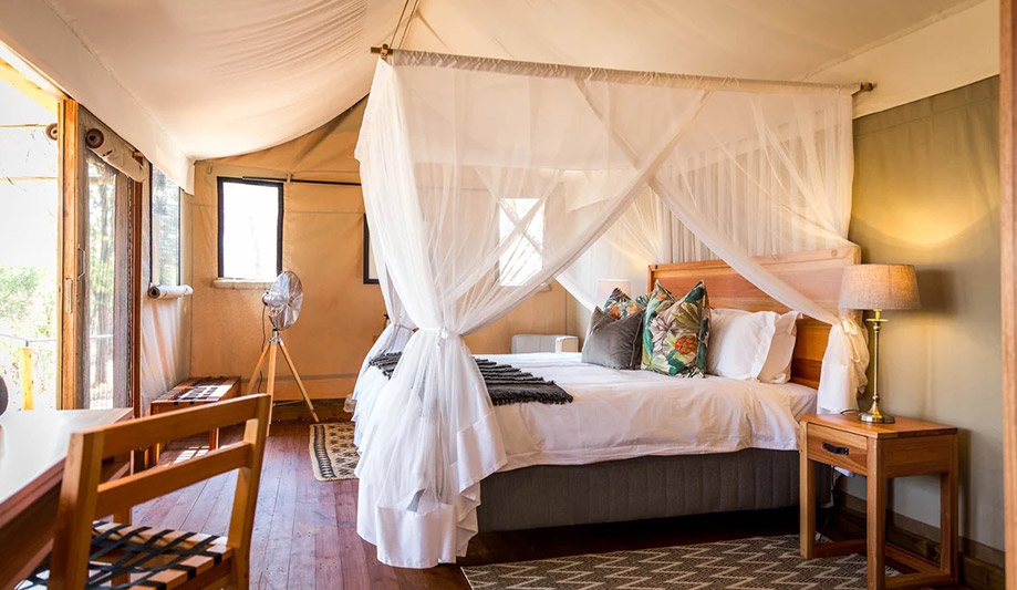 Mankwe Tented Retreat