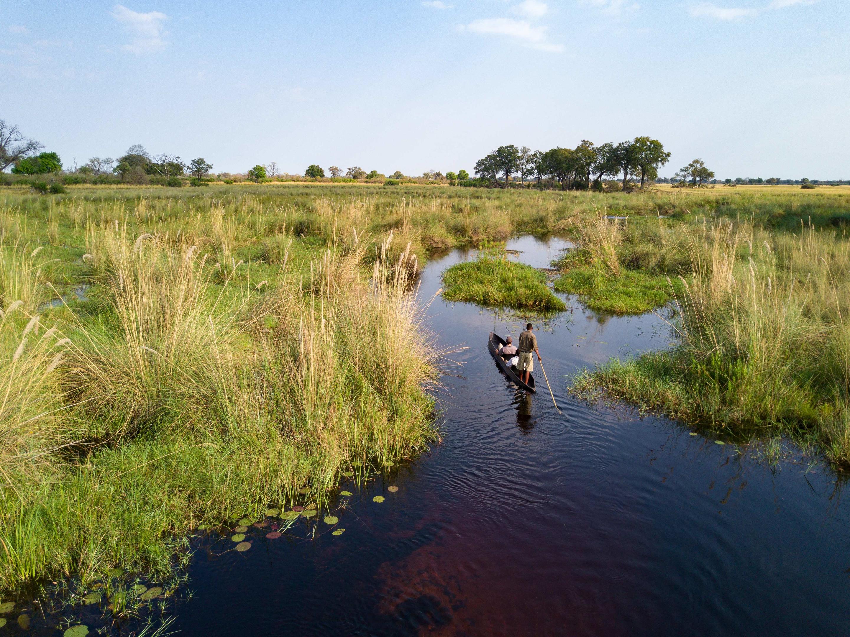 Duba Plains Camp
