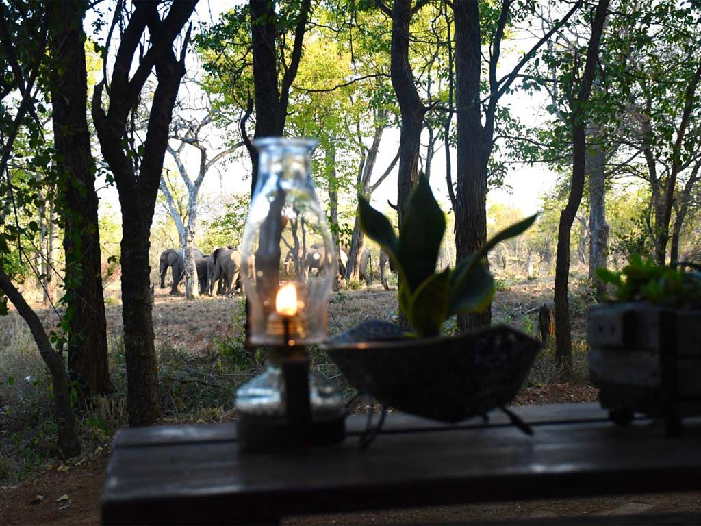 nDzuti Bush Camp 3